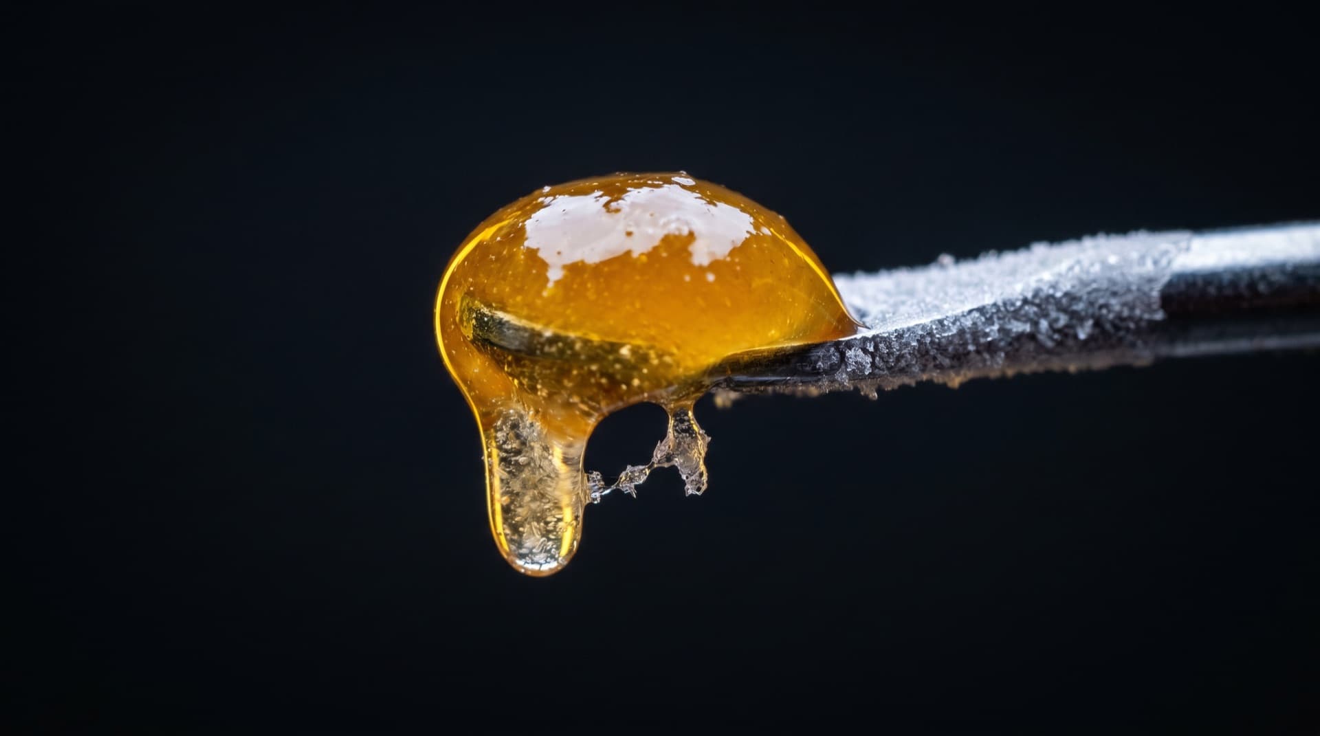 Waxx Puxx cannabis concentrate macro shot on a cold dabber